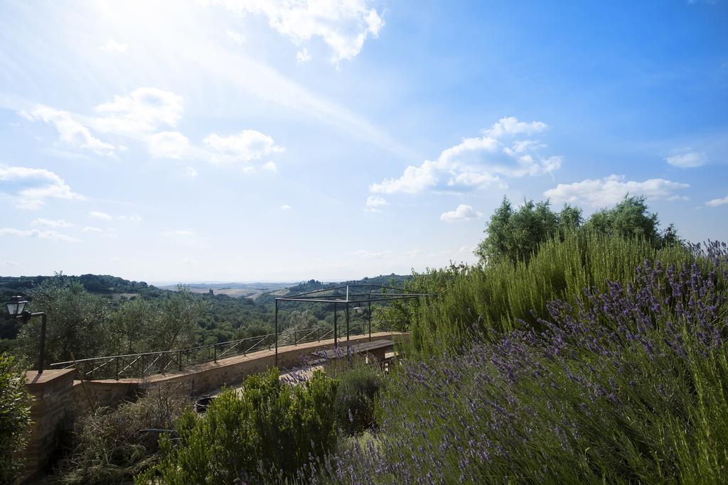 Vila Casa Sandro A Podere Pascianella Castelmuzio Pokoj fotografie