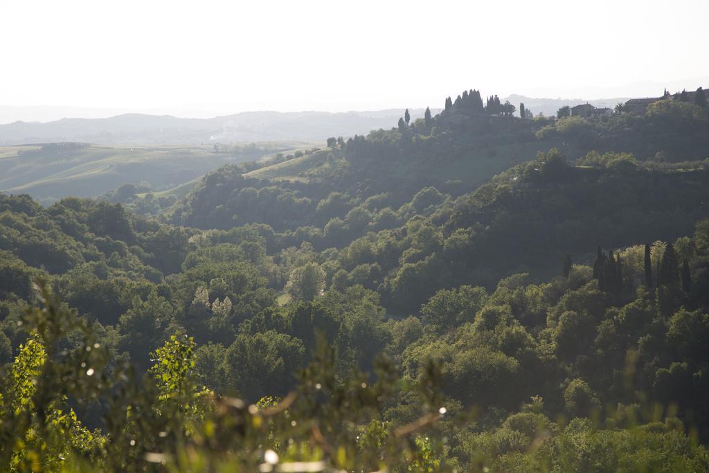 Vila Casa Sandro A Podere Pascianella Castelmuzio Exteriér fotografie